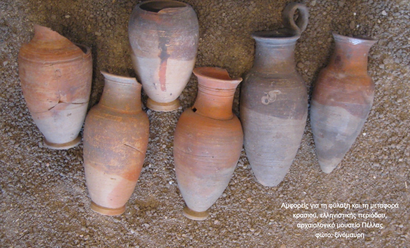 eGreekWine No3 — εικόνα 2