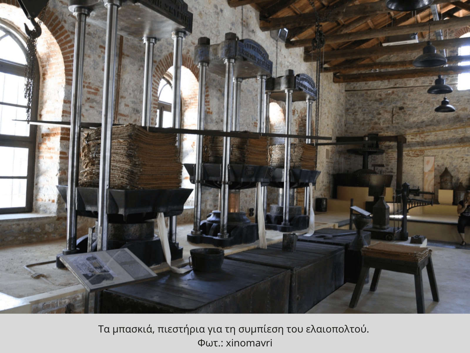 Ιστορίες της ελιάς στη Λέσβο