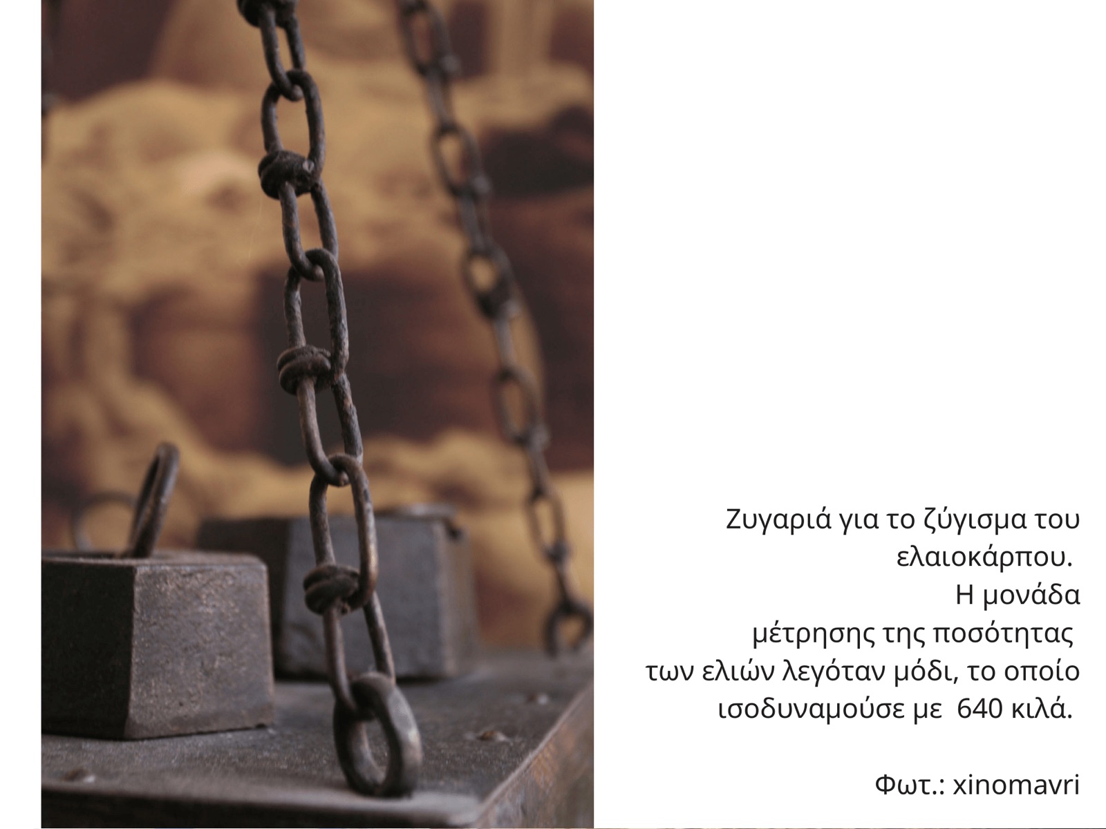 Ιστορίες της ελιάς στη Λέσβο — εικόνα 5
