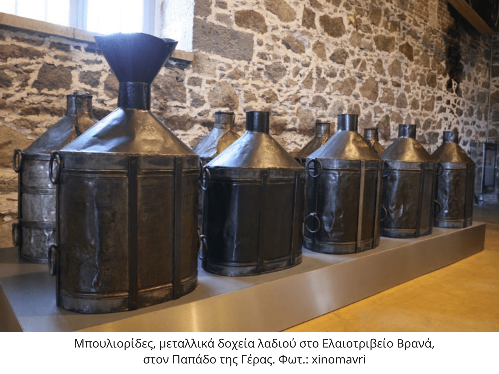 Ιστορίες της ελιάς στη Λέσβο — εικόνα 6