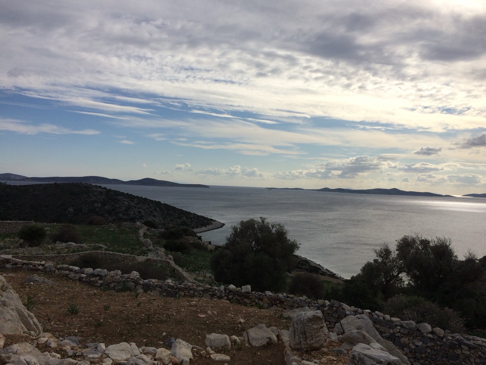 Τα μύγδαλα, ο Βόγλης και το Κορφάρι των Αμυγδαλιών — εικόνα 5
